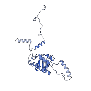 3151_5apo_G_v1-4
Structure of the yeast 60S ribosomal subunit in complex with Arx1, Alb1 and C-terminally tagged Rei1