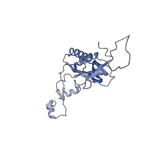 3151_5apo_I_v1-4
Structure of the yeast 60S ribosomal subunit in complex with Arx1, Alb1 and C-terminally tagged Rei1