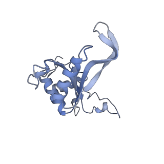 3151_5apo_J_v1-4
Structure of the yeast 60S ribosomal subunit in complex with Arx1, Alb1 and C-terminally tagged Rei1