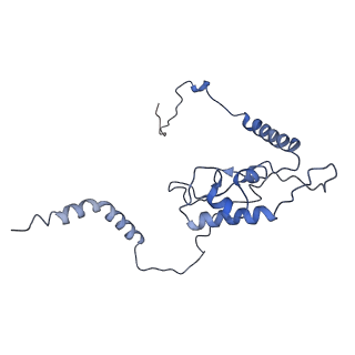 3151_5apo_L_v1-4
Structure of the yeast 60S ribosomal subunit in complex with Arx1, Alb1 and C-terminally tagged Rei1