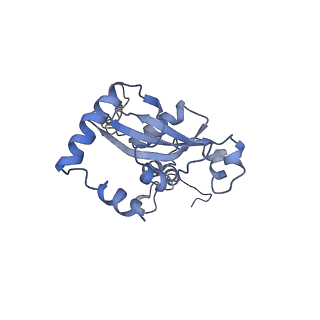 3151_5apo_N_v1-4
Structure of the yeast 60S ribosomal subunit in complex with Arx1, Alb1 and C-terminally tagged Rei1