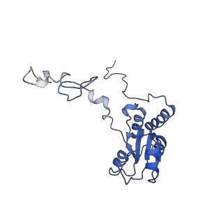 3151_5apo_Q_v1-4
Structure of the yeast 60S ribosomal subunit in complex with Arx1, Alb1 and C-terminally tagged Rei1