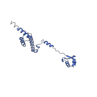 3151_5apo_R_v1-4
Structure of the yeast 60S ribosomal subunit in complex with Arx1, Alb1 and C-terminally tagged Rei1