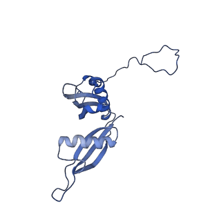 3151_5apo_S_v1-4
Structure of the yeast 60S ribosomal subunit in complex with Arx1, Alb1 and C-terminally tagged Rei1