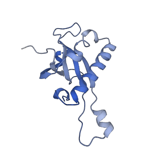 3151_5apo_Z_v1-4
Structure of the yeast 60S ribosomal subunit in complex with Arx1, Alb1 and C-terminally tagged Rei1