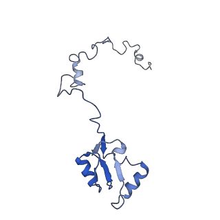 3151_5apo_a_v1-4
Structure of the yeast 60S ribosomal subunit in complex with Arx1, Alb1 and C-terminally tagged Rei1