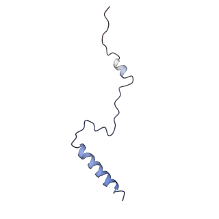 3151_5apo_b_v1-4
Structure of the yeast 60S ribosomal subunit in complex with Arx1, Alb1 and C-terminally tagged Rei1