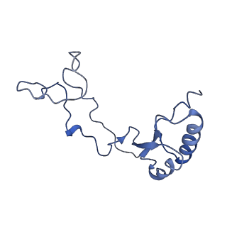 3151_5apo_e_v1-4
Structure of the yeast 60S ribosomal subunit in complex with Arx1, Alb1 and C-terminally tagged Rei1