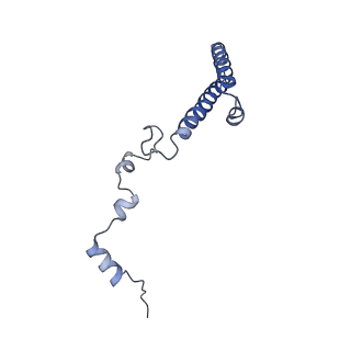 3151_5apo_h_v1-4
Structure of the yeast 60S ribosomal subunit in complex with Arx1, Alb1 and C-terminally tagged Rei1