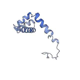 3151_5apo_i_v1-4
Structure of the yeast 60S ribosomal subunit in complex with Arx1, Alb1 and C-terminally tagged Rei1