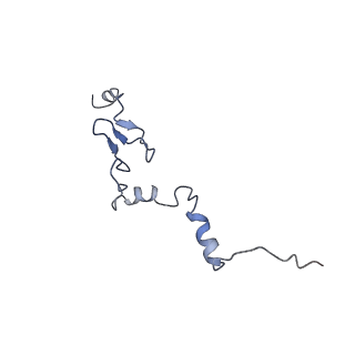3151_5apo_j_v1-4
Structure of the yeast 60S ribosomal subunit in complex with Arx1, Alb1 and C-terminally tagged Rei1