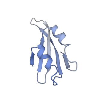 3151_5apo_k_v1-4
Structure of the yeast 60S ribosomal subunit in complex with Arx1, Alb1 and C-terminally tagged Rei1