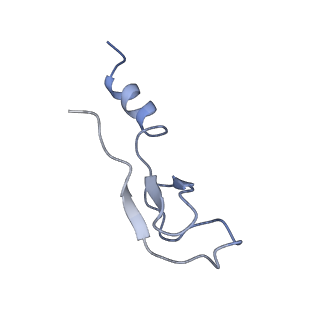 3151_5apo_m_v1-4
Structure of the yeast 60S ribosomal subunit in complex with Arx1, Alb1 and C-terminally tagged Rei1