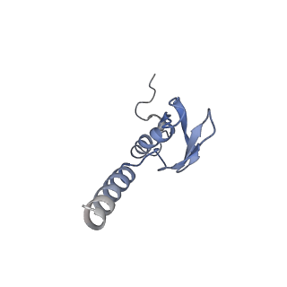 3151_5apo_p_v1-4
Structure of the yeast 60S ribosomal subunit in complex with Arx1, Alb1 and C-terminally tagged Rei1