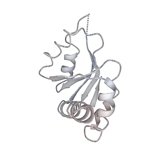 3151_5apo_q_v1-4
Structure of the yeast 60S ribosomal subunit in complex with Arx1, Alb1 and C-terminally tagged Rei1