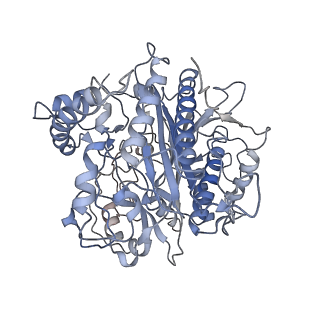 3151_5apo_x_v1-4
Structure of the yeast 60S ribosomal subunit in complex with Arx1, Alb1 and C-terminally tagged Rei1