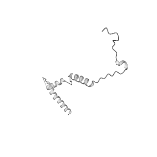 3151_5apo_z_v1-4
Structure of the yeast 60S ribosomal subunit in complex with Arx1, Alb1 and C-terminally tagged Rei1