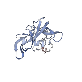 3152_5apn_A_v1-4
Structure of the yeast 60S ribosomal subunit in complex with Arx1, Alb1 and N-terminally tagged Rei1