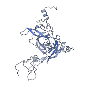 3152_5apn_B_v1-4
Structure of the yeast 60S ribosomal subunit in complex with Arx1, Alb1 and N-terminally tagged Rei1