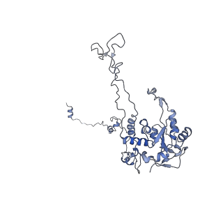 3152_5apn_C_v1-4
Structure of the yeast 60S ribosomal subunit in complex with Arx1, Alb1 and N-terminally tagged Rei1