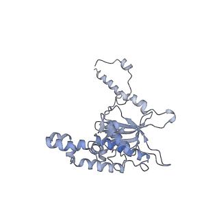 3152_5apn_D_v1-4
Structure of the yeast 60S ribosomal subunit in complex with Arx1, Alb1 and N-terminally tagged Rei1