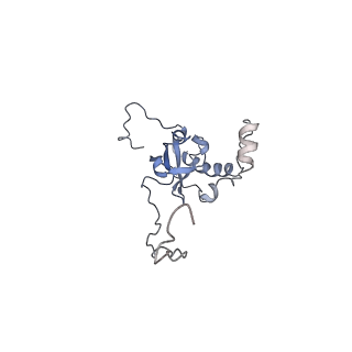 3152_5apn_E_v1-4
Structure of the yeast 60S ribosomal subunit in complex with Arx1, Alb1 and N-terminally tagged Rei1