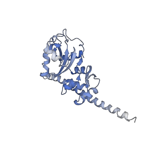 3152_5apn_F_v1-4
Structure of the yeast 60S ribosomal subunit in complex with Arx1, Alb1 and N-terminally tagged Rei1