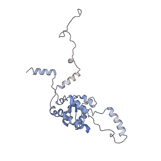 3152_5apn_G_v1-4
Structure of the yeast 60S ribosomal subunit in complex with Arx1, Alb1 and N-terminally tagged Rei1