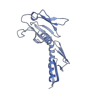 3152_5apn_H_v1-4
Structure of the yeast 60S ribosomal subunit in complex with Arx1, Alb1 and N-terminally tagged Rei1