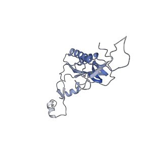 3152_5apn_I_v1-4
Structure of the yeast 60S ribosomal subunit in complex with Arx1, Alb1 and N-terminally tagged Rei1