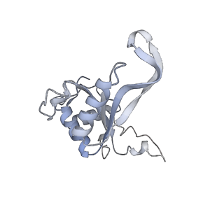 3152_5apn_J_v1-4
Structure of the yeast 60S ribosomal subunit in complex with Arx1, Alb1 and N-terminally tagged Rei1
