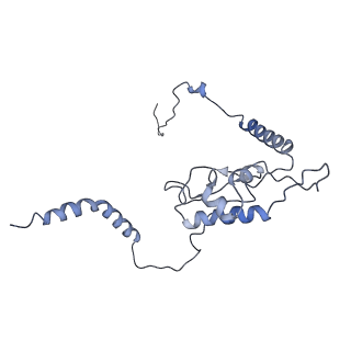 3152_5apn_L_v1-4
Structure of the yeast 60S ribosomal subunit in complex with Arx1, Alb1 and N-terminally tagged Rei1