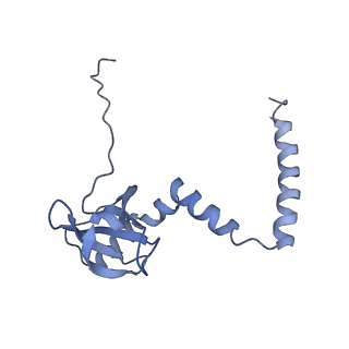 3152_5apn_M_v1-4
Structure of the yeast 60S ribosomal subunit in complex with Arx1, Alb1 and N-terminally tagged Rei1