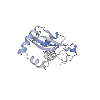 3152_5apn_N_v1-4
Structure of the yeast 60S ribosomal subunit in complex with Arx1, Alb1 and N-terminally tagged Rei1