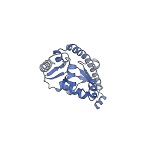 3152_5apn_O_v1-4
Structure of the yeast 60S ribosomal subunit in complex with Arx1, Alb1 and N-terminally tagged Rei1