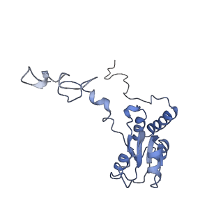 3152_5apn_Q_v1-4
Structure of the yeast 60S ribosomal subunit in complex with Arx1, Alb1 and N-terminally tagged Rei1