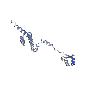 3152_5apn_R_v1-4
Structure of the yeast 60S ribosomal subunit in complex with Arx1, Alb1 and N-terminally tagged Rei1