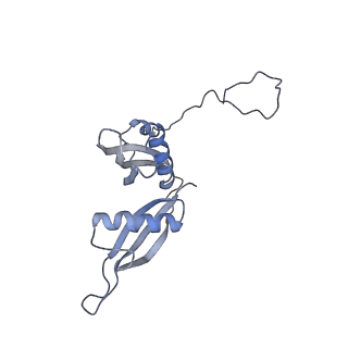 3152_5apn_S_v1-4
Structure of the yeast 60S ribosomal subunit in complex with Arx1, Alb1 and N-terminally tagged Rei1