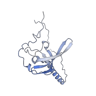 3152_5apn_T_v1-4
Structure of the yeast 60S ribosomal subunit in complex with Arx1, Alb1 and N-terminally tagged Rei1