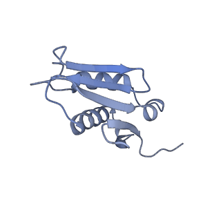 3152_5apn_U_v1-4
Structure of the yeast 60S ribosomal subunit in complex with Arx1, Alb1 and N-terminally tagged Rei1