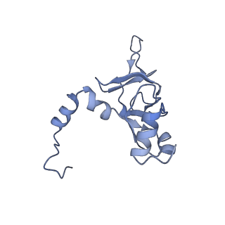 3152_5apn_Y_v1-4
Structure of the yeast 60S ribosomal subunit in complex with Arx1, Alb1 and N-terminally tagged Rei1