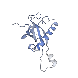 3152_5apn_Z_v1-4
Structure of the yeast 60S ribosomal subunit in complex with Arx1, Alb1 and N-terminally tagged Rei1