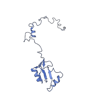 3152_5apn_a_v1-4
Structure of the yeast 60S ribosomal subunit in complex with Arx1, Alb1 and N-terminally tagged Rei1