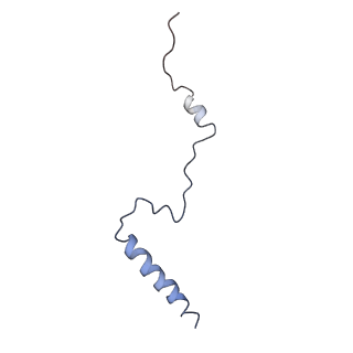 3152_5apn_b_v1-4
Structure of the yeast 60S ribosomal subunit in complex with Arx1, Alb1 and N-terminally tagged Rei1
