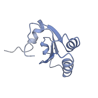 3152_5apn_c_v1-4
Structure of the yeast 60S ribosomal subunit in complex with Arx1, Alb1 and N-terminally tagged Rei1