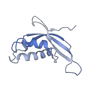 3152_5apn_d_v1-4
Structure of the yeast 60S ribosomal subunit in complex with Arx1, Alb1 and N-terminally tagged Rei1