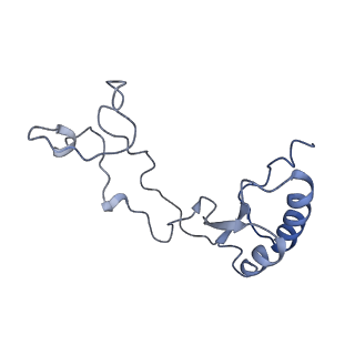 3152_5apn_e_v1-4
Structure of the yeast 60S ribosomal subunit in complex with Arx1, Alb1 and N-terminally tagged Rei1