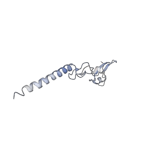 3152_5apn_g_v1-4
Structure of the yeast 60S ribosomal subunit in complex with Arx1, Alb1 and N-terminally tagged Rei1