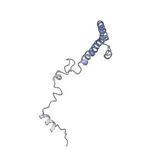 3152_5apn_h_v1-4
Structure of the yeast 60S ribosomal subunit in complex with Arx1, Alb1 and N-terminally tagged Rei1