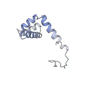 3152_5apn_i_v1-4
Structure of the yeast 60S ribosomal subunit in complex with Arx1, Alb1 and N-terminally tagged Rei1